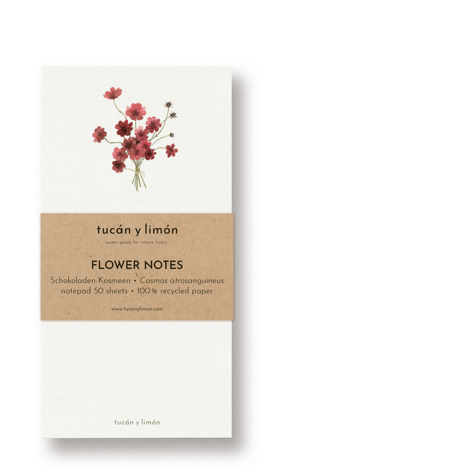 'FLOWER NOTES - KOSMEEN'