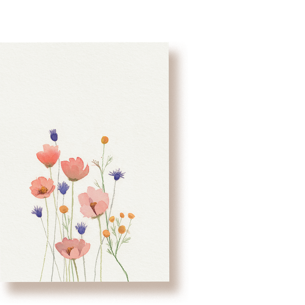 'BLUMENWIESE'