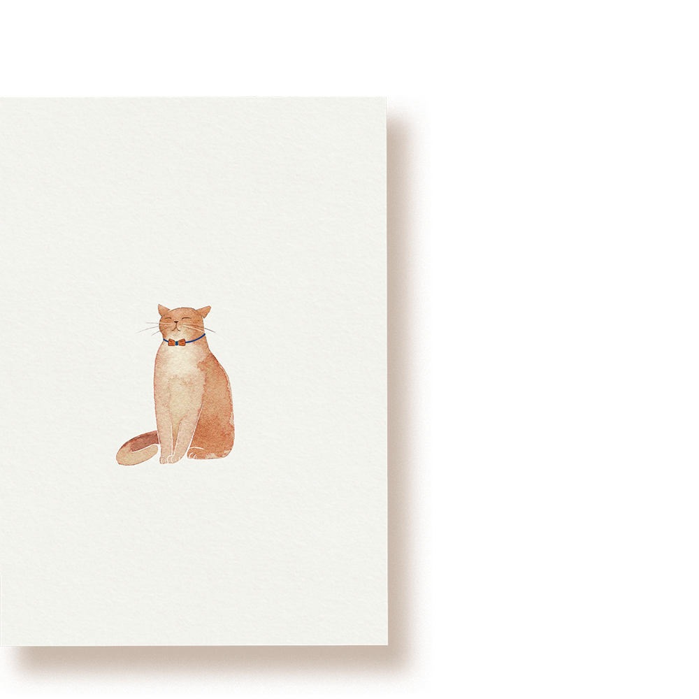 'KATZE'
