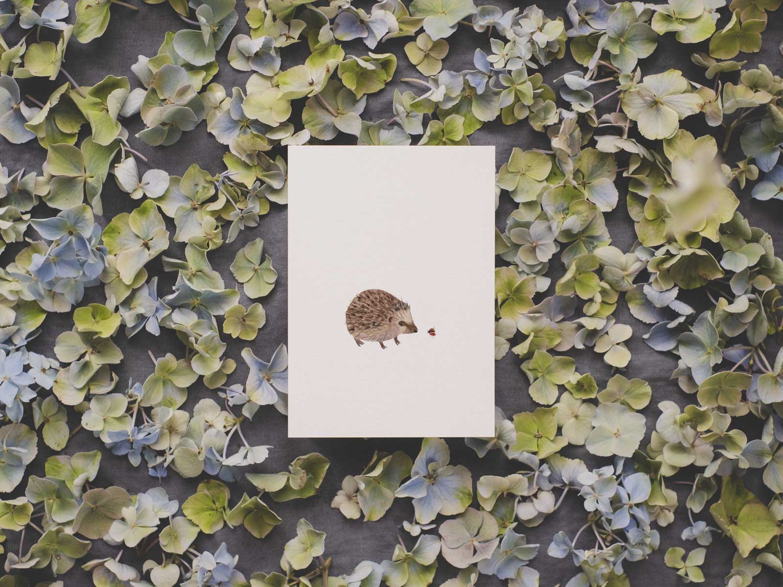 'IGEL'