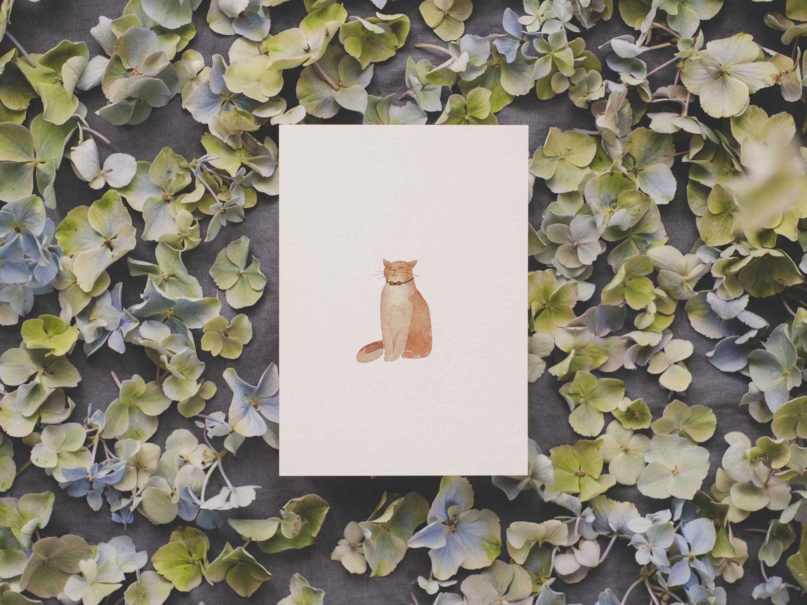 'KATZE'
